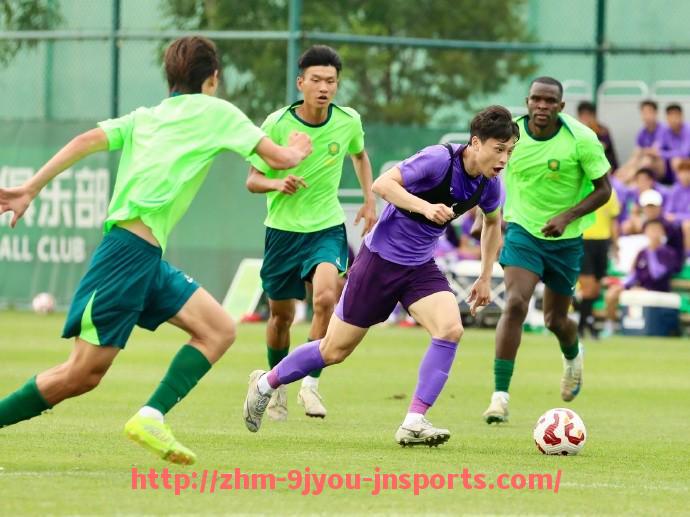 J9九游会登录入口-德甲新赛季球队名单及转会动态盘点