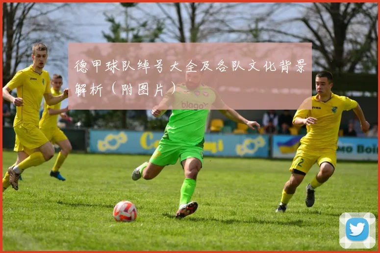 德甲球队绰号大全及各队文化背景解析（附图片）