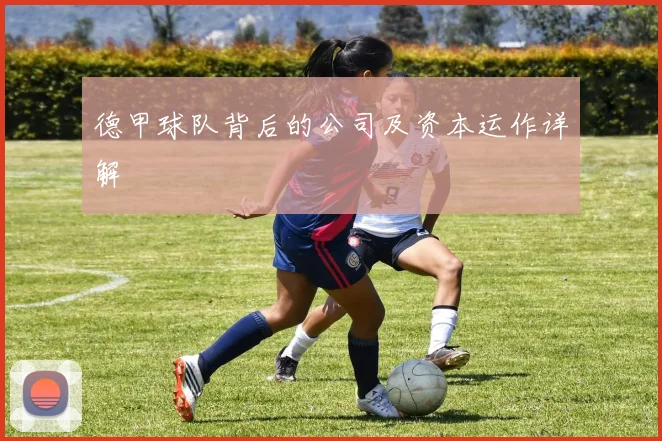 德甲球队背后的公司及资本运作详解