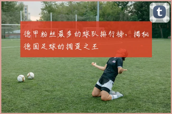 德甲粉丝最多的球队排行榜，揭秘德国足球的拥趸之王