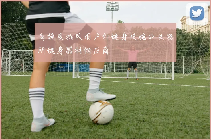 高强度抗风雨户外健身设施公共场所健身器材供应商